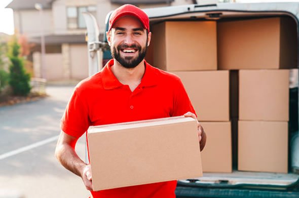 Delivery professional holding a parcel near a van